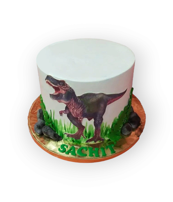 The T-rex Dinosaur Cake